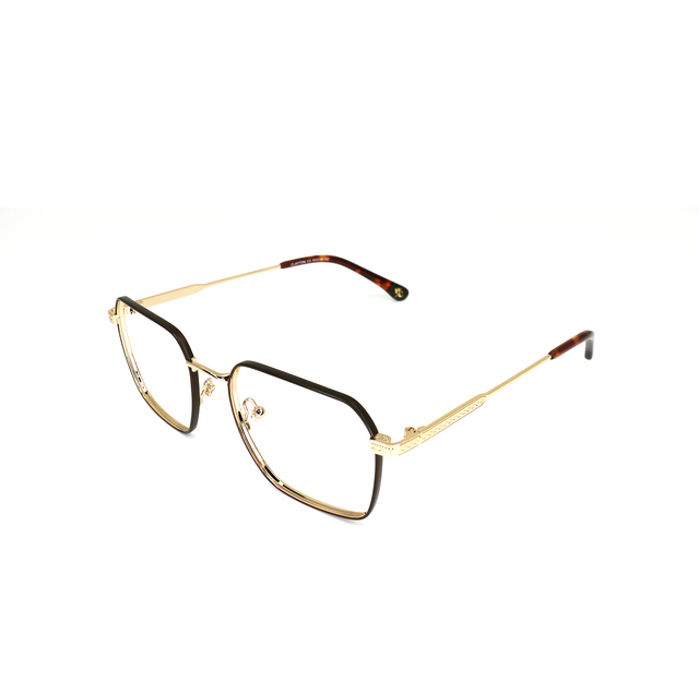 Proveedor óptico , Mundo Gafas , CLAYTON , Marrón 53-19-142 , Graduado ,