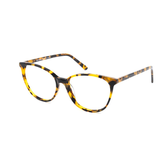 Proveedor óptico , Mundo Gafas , CX-8555 , Habana 53-16-145 , Gafas de Graduado ,