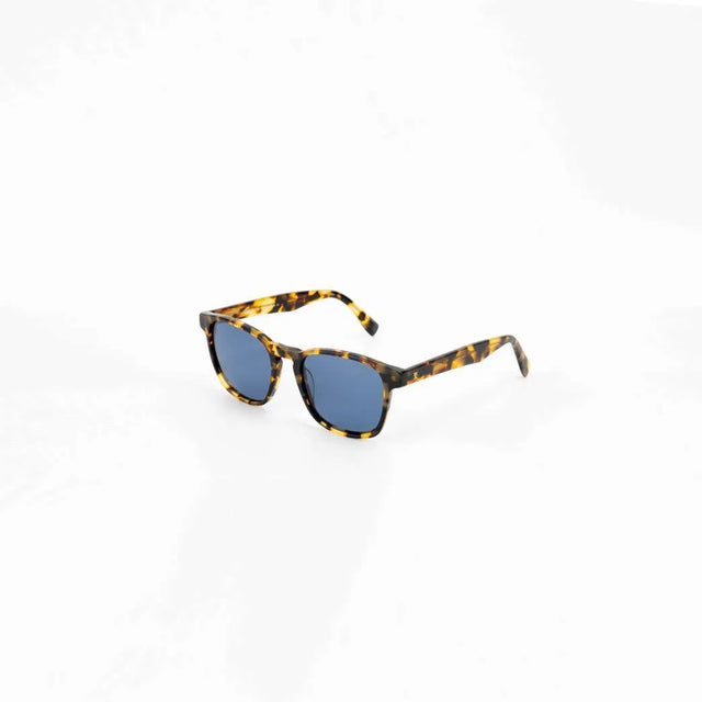 Proveedor óptico , Mundo Gafas , HM-5289 , Habana 50-20-145 , Gafas de sol ,