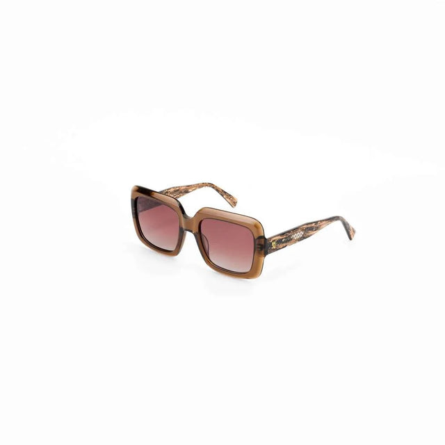 Proveedor óptico , Mundo Gafas , HM-5283 , Marrón 53-20-145 , Gafas de sol ,