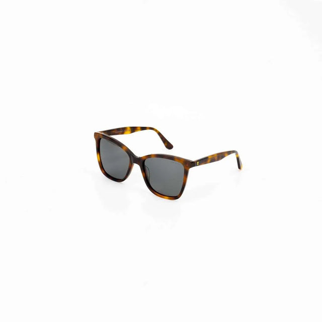 Proveedor óptico , Mundo Gafas , HM-5275 , Habana 54-18-145 , Gafas de sol ,