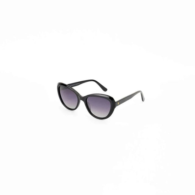 Proveedor óptico , Mundo Gafas , HM-5271 , Negro 53-18-145 , Gafas de sol ,