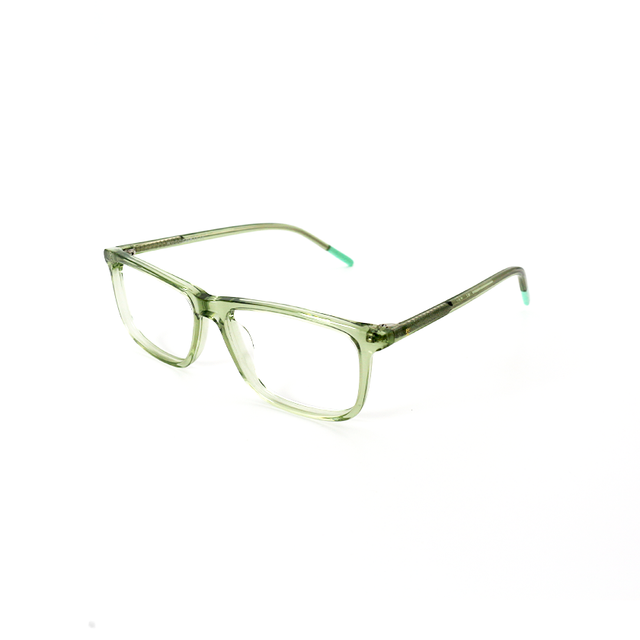 Proveedor óptico , Mundo Gafas , HM-5306 , Verde 51-14-135 , Gafas de Graduado ,