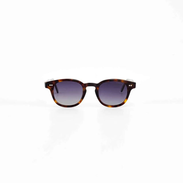 Proveedor óptico , Mundo Gafas , HM-5286 , Habana 46-25-145 , Gafas de sol ,