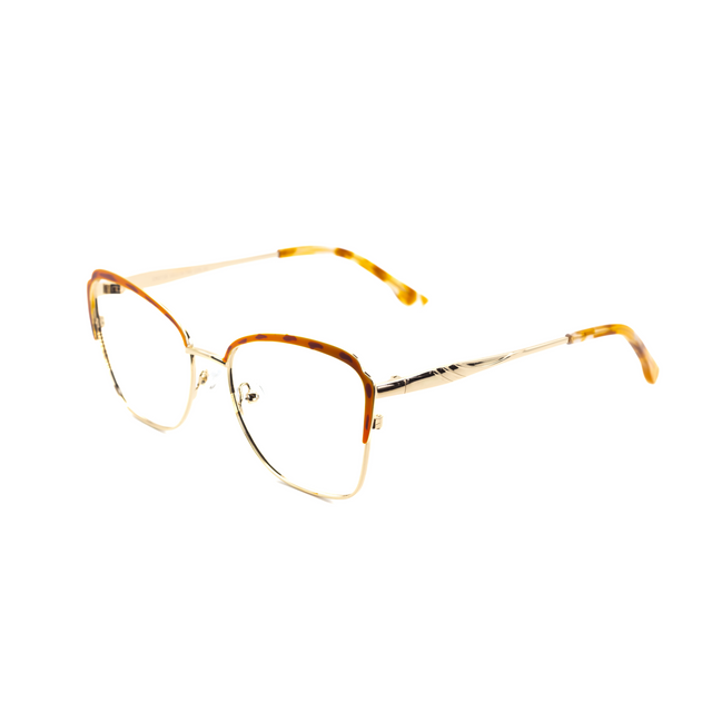 Proveedor óptico , Mundoptica Europa Grupo , CK-2135 , Naranja 55-18-140 , Gafas de Graduado ,