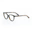 Proveedor óptico , Mundo Gafas , HM-5260 , Marrón 54-16-145 , Gafas de Graduado ,