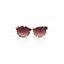 Proveedor óptico , Mundo Gafas , HM-5278 , Habana 53-20-140 , Gafas de sol ,