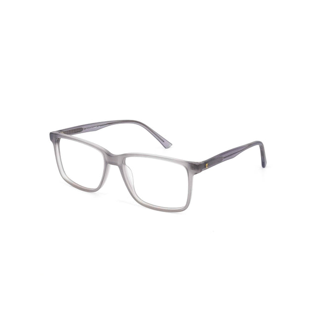 Proveedor óptico , Mundo Gafas , HM-5309 , Gris 55-16-145 , Gafas de Graduado ,