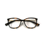 Proveedor óptico , Mundo Gafas , HM-5314 , Marrón 54-15-140 , Gafas de Graduado ,